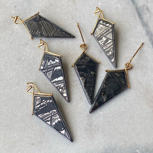 Meteorite Earrings