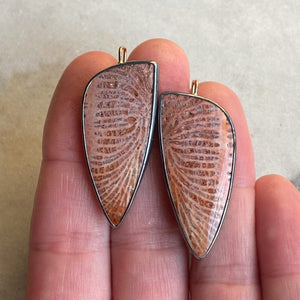 Fossilized Coral Earrings