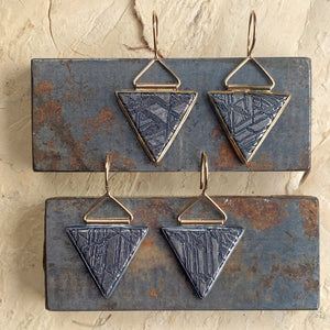 Meteorite Earrings