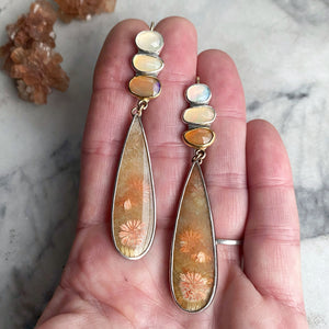 Fossilized Coral and Ethiopian Opal Earrings