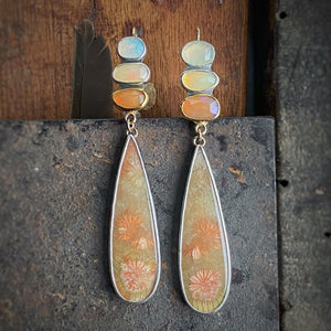 Fossilized Coral and Ethiopian Opal Earrings