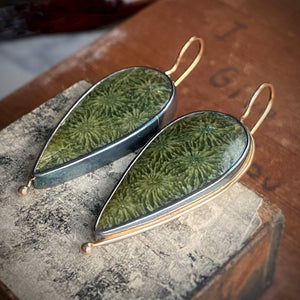Green Fossilized Coral Earrings