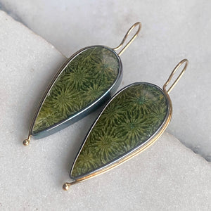 Green Fossilized Coral Earrings