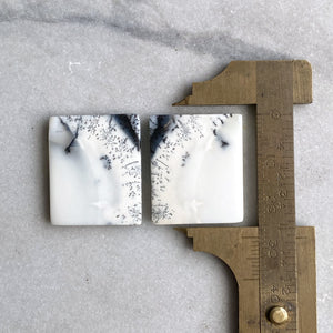 Dendritic Opal Pair