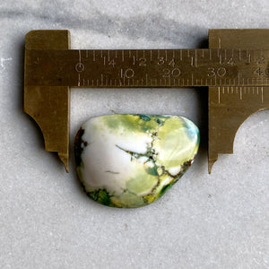 Turquoise Cabochon