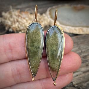 Fossilized Green Coral Earrings