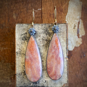 Fossilized Coral Earrings with Poppy Pods