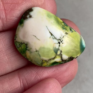 Turquoise Cabochon