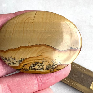 Oregon Landscape Jasper Lot