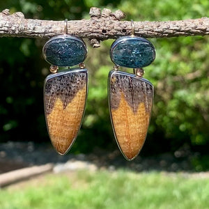 Petrified Oak Wood and Speckled Teal Kyanite Earrings