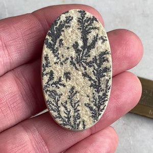 Dendritic Limestone Lot