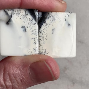Dendritic Opal Pair