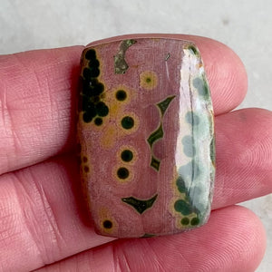 Ocean Jasper Cabochon
