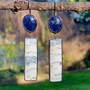 Copper in Petrified Wood and Sapphire Earrings
