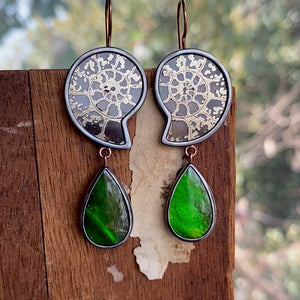 Ammonite and Ammolite Earrings