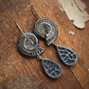Ammonite and Ammolite Earrings