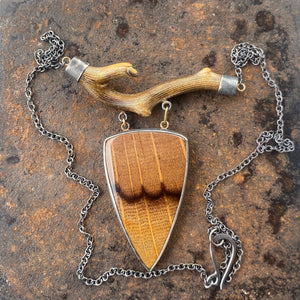 Petrified Oak Wood and Fossil Coral Necklace