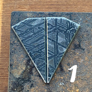 Made-to-Order Meteorite Earrings