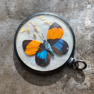 Antique Reversible Butterfly/Moth Pendant