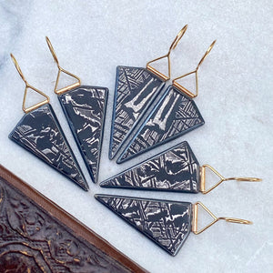 Meteorite Earrings