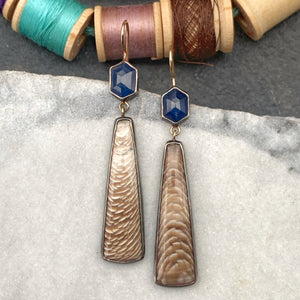 Sapphire and Petrified Oak Earrings