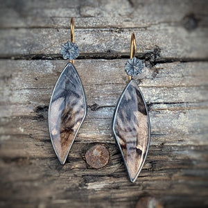 Petrified Oak Earrings