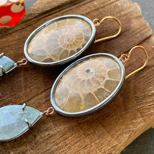 Ammonite and Gilalite in Quartz Earrings