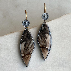 Petrified Oak Earrings