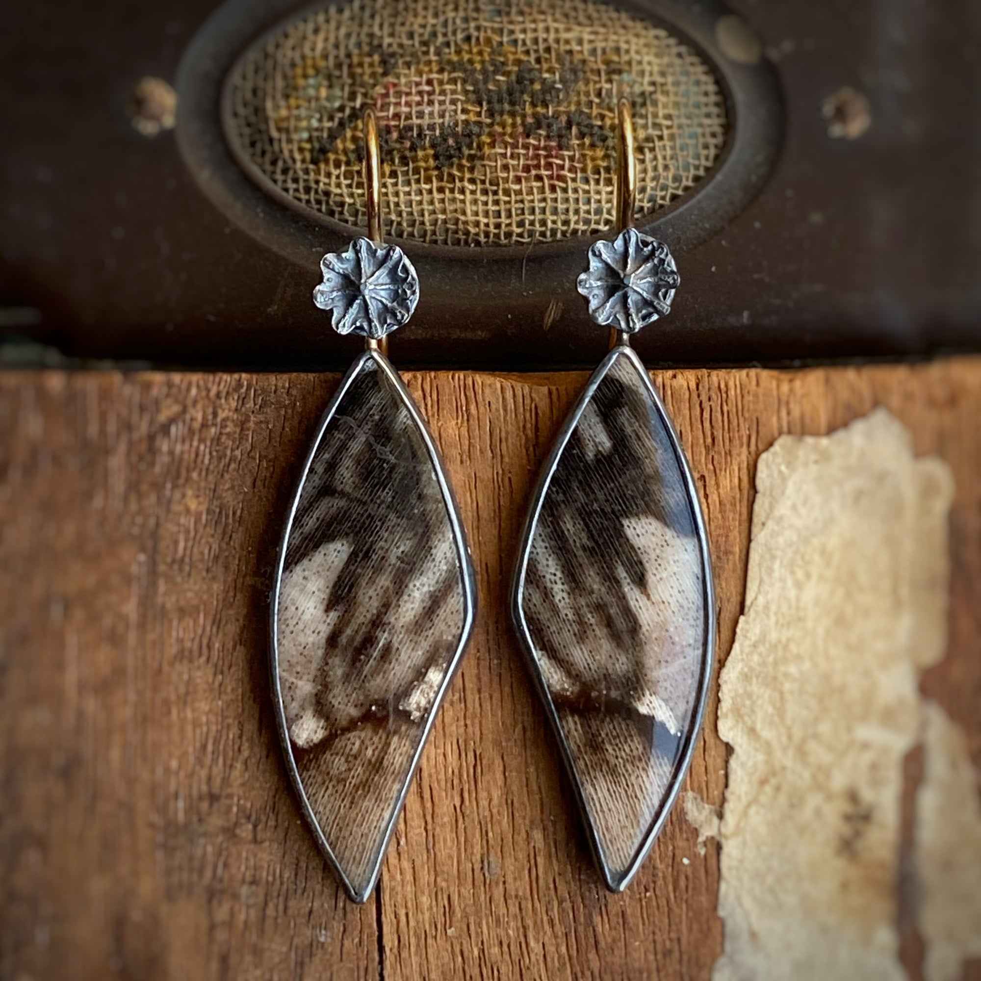 Petrified Oak Earrings