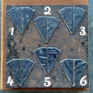 Made-to-Order Meteorite Earrings