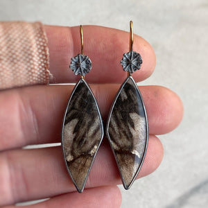 Petrified Oak Earrings