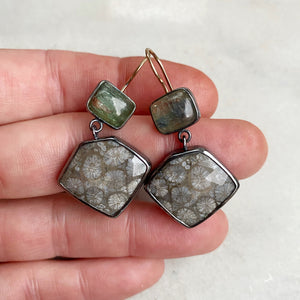 Green Kyanite and Fossilized Coral Earrings