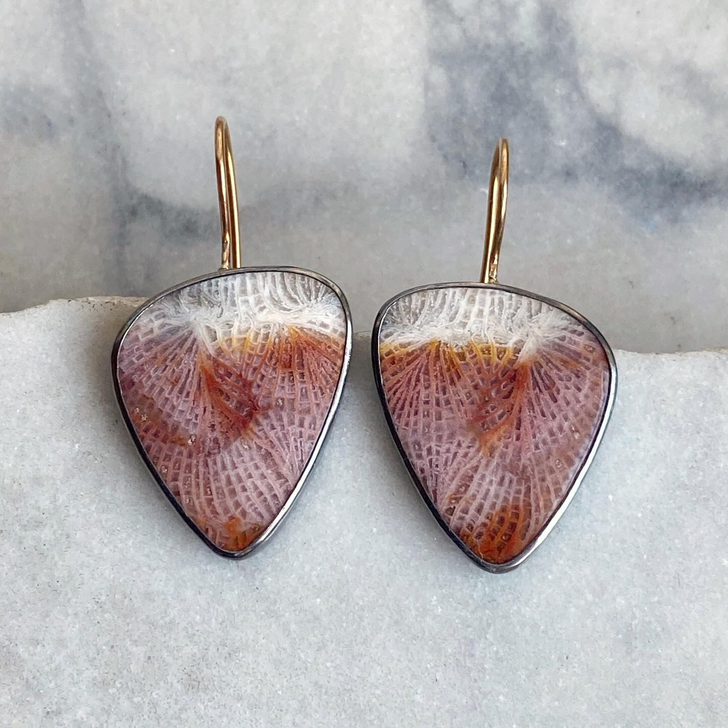 Fossilized Coral Earrings