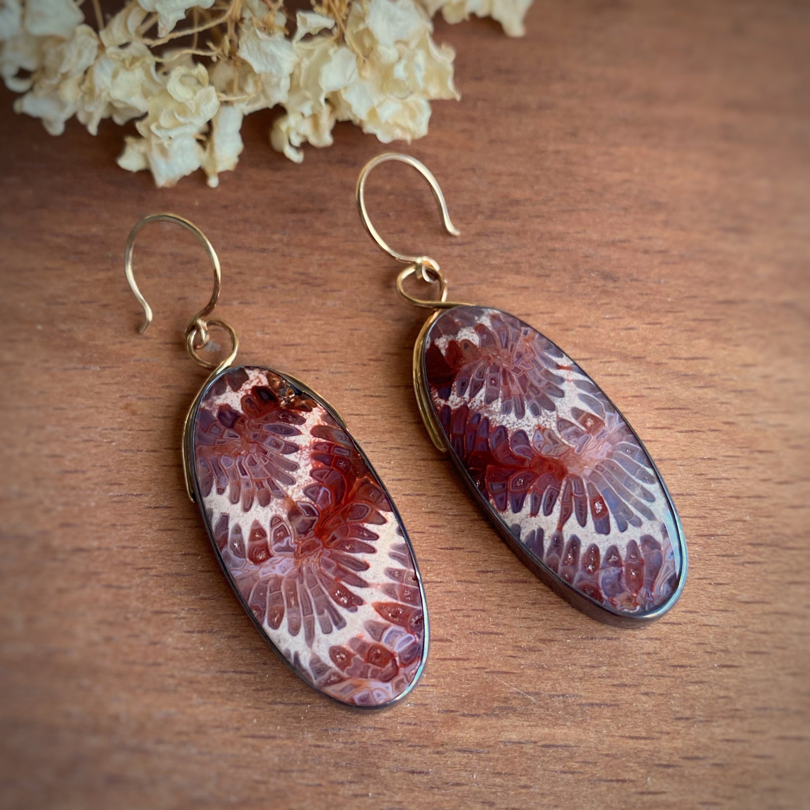 Fossilized Coral Earrings