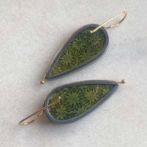 Green Fossilized Coral Earrings