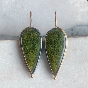 Green Fossilized Coral Earrings