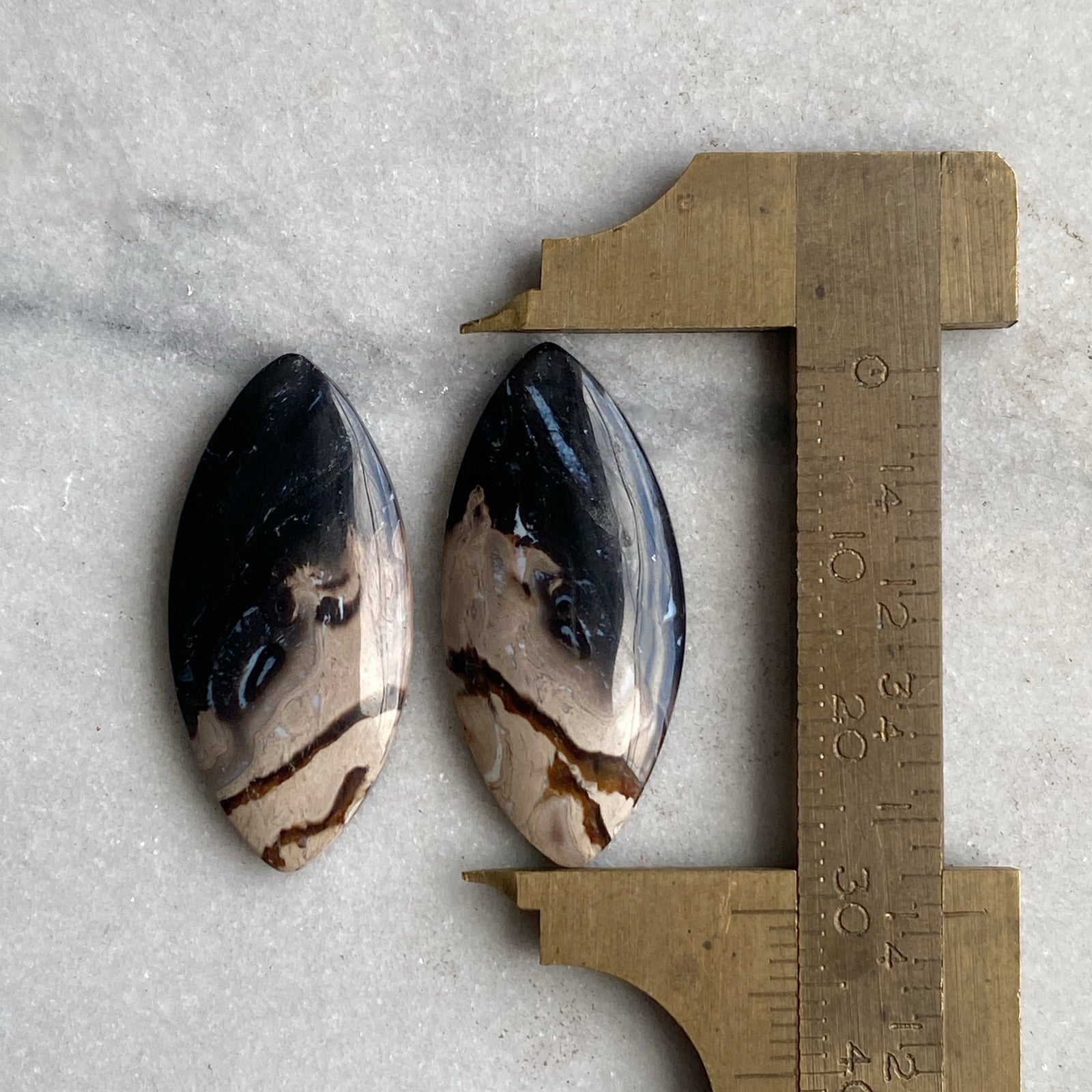 Fossilized Wood, aka Bird’s Eye Agate