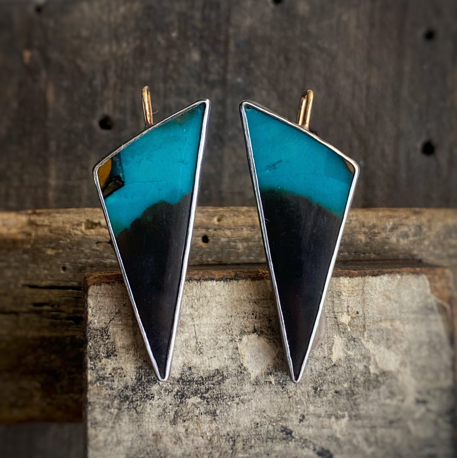 Petrified Palm Root Earrings