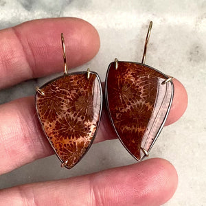 Ombré Fossilized Coral Earrings