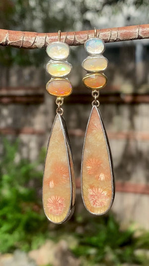 Fossilized Coral and Ethiopian Opal Earrings