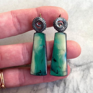 Opalized Wood Earrings with Octopus Tentacles
