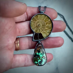 Ammonite and Bao Canyon Turquoise Necklace