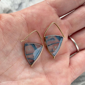 Opalized Wood Earrings