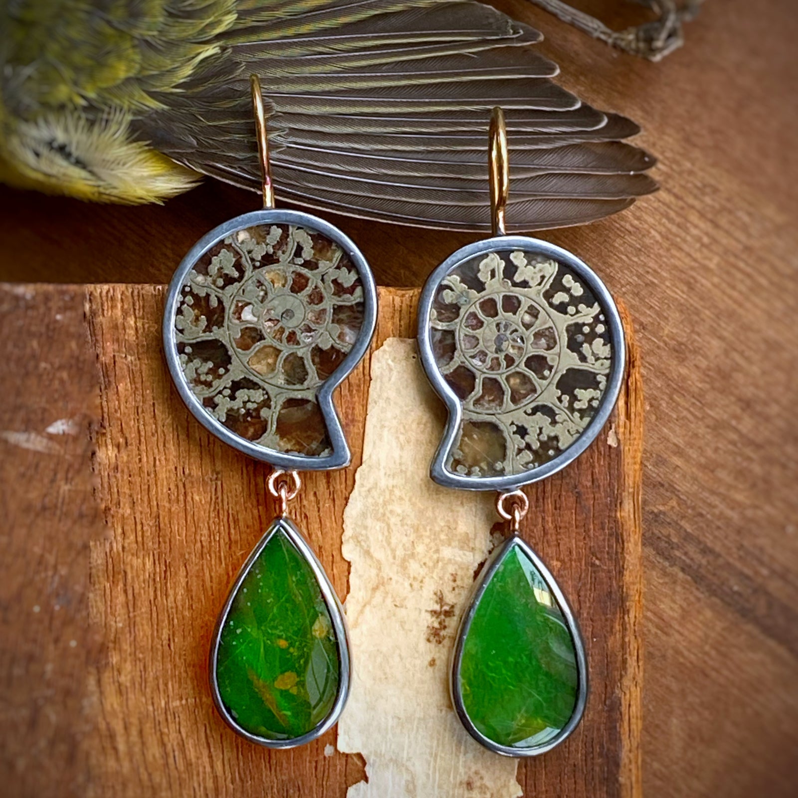 Ammonite and Ammolite Earrings