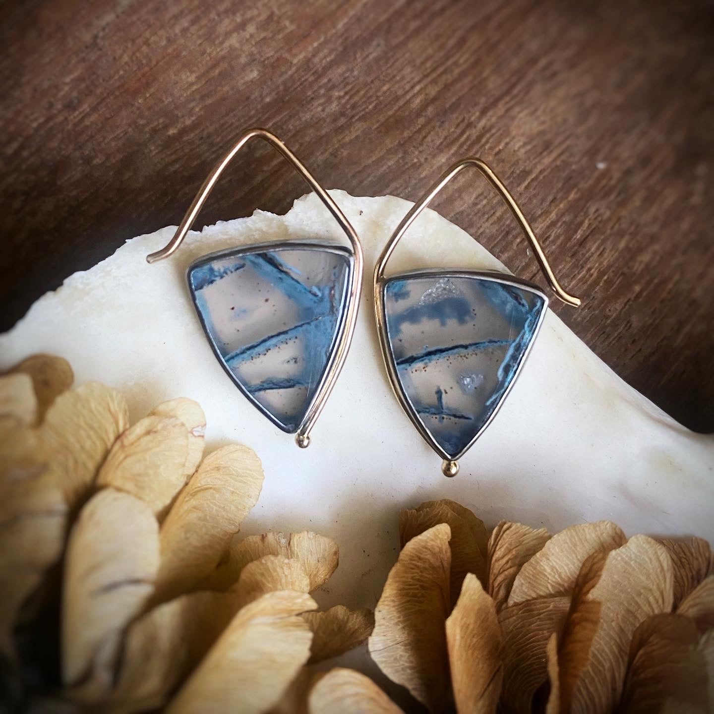Opalized Wood Earrings